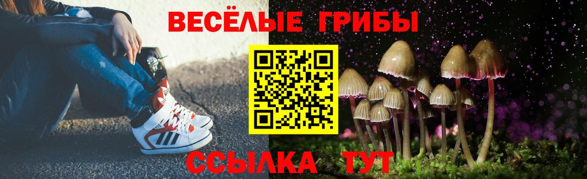 Псилоцибиновые грибы Cubensis  Псилоцибиновые грибы MAGIC MUSHROOMS  Истра  Вход с VPN 